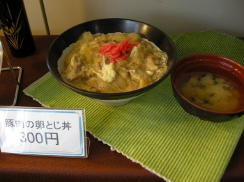 20131010F日替わり丼