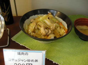 20131011F日替わり丼