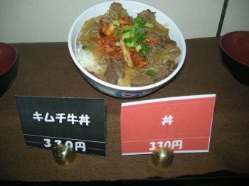 20131028S日替わり丼