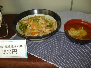 20131028F日替わり丼