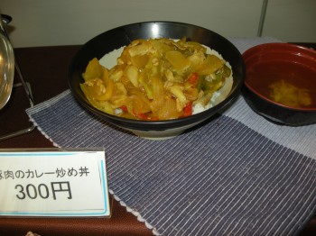 20131104F日替わり丼