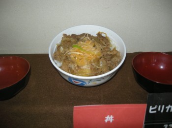 20131112S特選丼