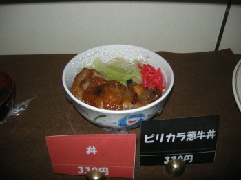 20131113S特選丼