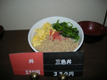 20131120S丼