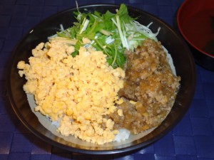 20141111日替り丼