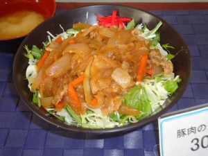 20141118日替り丼