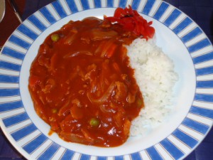 20141124日替り丼